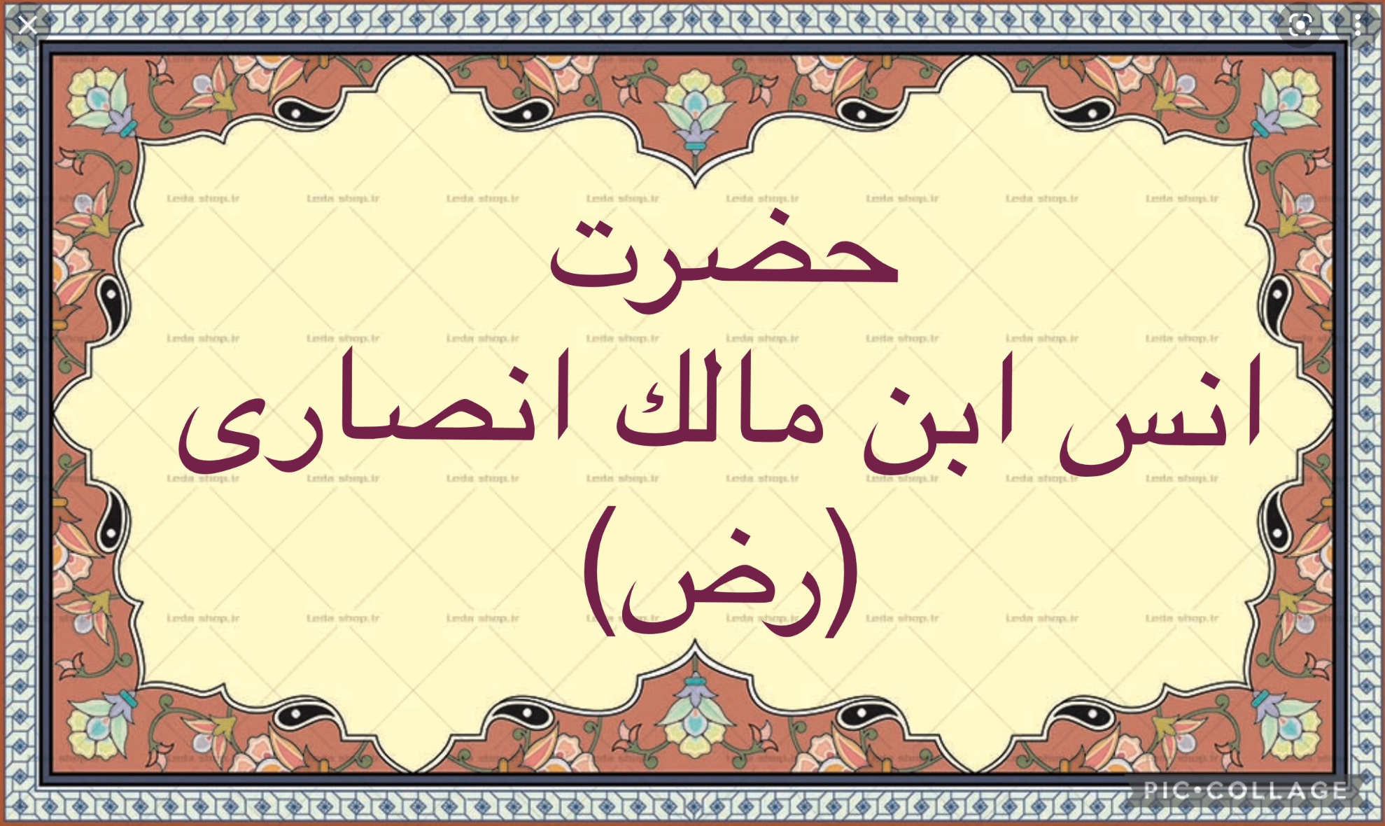 حضرت انس ابن مالك انصارى (رض)