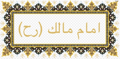 امام مالك (رح)